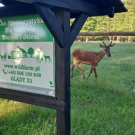 Oaza Spokoju Na Fermie Jeleni Slow Life Apartamenty Gorowo Ilaweckie Экстерьер фото